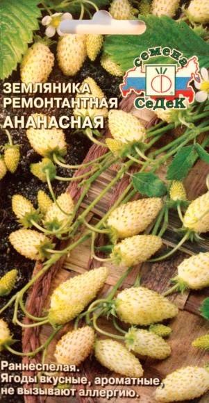 Земляника Ананасная ЦВ/П (СЕДЕК) 0,04гр ремонтантный раннеспелый безусый