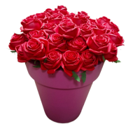 Роза Английская силиконовая 50см Роза Английская силиконовая 50см