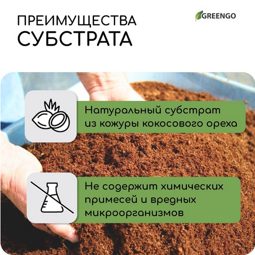 Кокосовый Субстрат 4лит Greengo при разбухании (1уп/60шт) Арт-5151595/9748808 Кокосовый Субстрат 4лит Greengo при разбухании (1уп/60шт) Арт-5151595/9748808