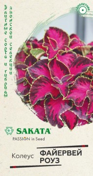 Цветы Колеус Файервей Роуз ЦВ/П (ГАВРИШ) 4шт однолетник 25-30см