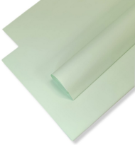 Пленка Листами Матовая однотонная Светло-Фисташковая 58/58см (1уп/10шт) Цена за лист