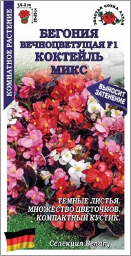 Цветы Бегония вечноцветущая F1 Коктейль Микс ЦВ/П (СОТКА) 5шт комнатное 15-20см