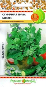 Пряность Бораго ЦВ/П (НК) 0,5гр огуречная трава раннеспелый