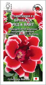 Цветы Глоксиния Брокада Ред энд Вайт ЦВ/П (СОТКА) 5шт комнатное 20-25см