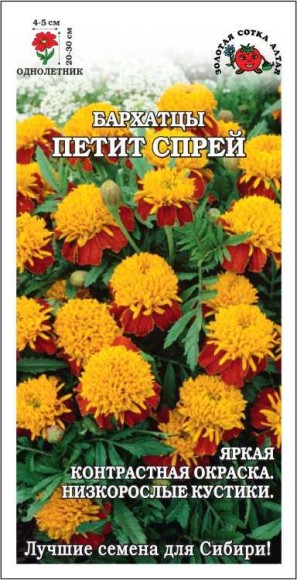 Цветы Бархатцы Петит Спрей ЦВ/П (СОТКА) 0,2гр однолетник отклоненные 20-30см