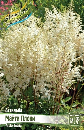 Астильба Майти Плони (1уп/1шт)