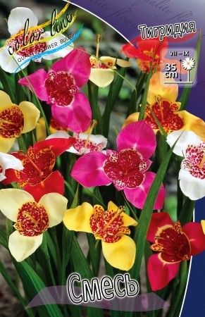 Тигридия Смесь (1уп/10шт)