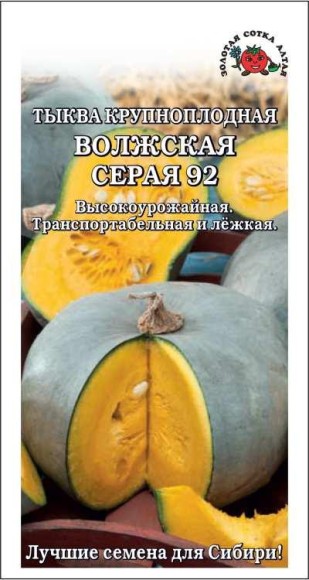 Тыква Волжская серая 92 ЦВ/П (СОТКА) 2гр среднеспелый длинноплетистый
