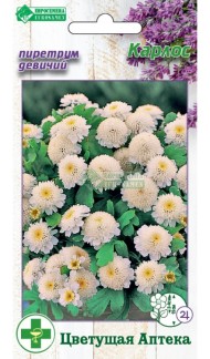 Цветы Пиретрум Карлос ЦВ/П (ЕС) 10шт многолетник 15см