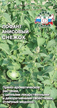Пряность Лофант Снежок ЦВ/П (СЕДЕК) 0,1гр однолетник