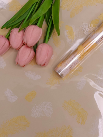 Пленка прозрачная с рисунком Пёрышки Кремовая 60см*8м