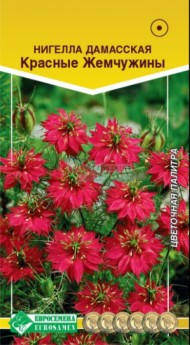 Цветы Нигелла Дамасская Красные жемчужины ЦВ/П (ЕС) 0,1г однолетник сухоцвет до 1м