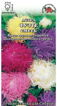 Цветы Астра Фуэте Смесь ЦВ/П (СОТКА) 0,2гр однолетник 70-80см