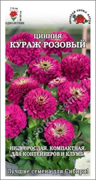 Цветы Цинния Кураж Розовый ЦВ/П (СОТКА) 0,2гр однолетник 30-35см
