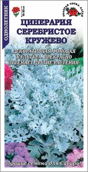 Цветы Цинерария Серебристое Кружево ЦВ/П (СОТКА) 0,05гр однолетник 15-30см