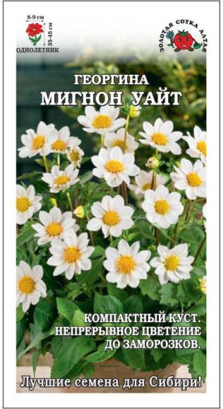 Цветы Георгина Мигнон Уайт ЦВ/П (СОТКА) 0,2гр однолетник до 45см