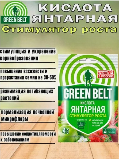 Янтарная Кислота 4гр (1уп/100шт) min 10шт