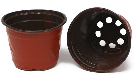 Набор горшков Рассадных пластик Greengo 750мл*20шт Арт-9085245