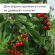 Сетка от Птиц 2м*10м Зелёная (1уп/1шт) ячея 8*8мм