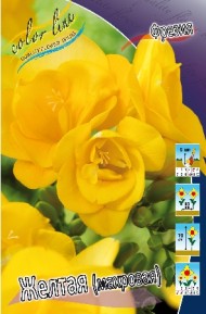 Фрезия махровая Жёлтая (1уп/10шт)