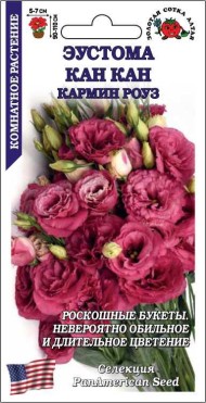 Цветы Эустома Кан Кан Кармин Роуз ЦВ/П (СОТКА) 5шт комнатное до 1,1м