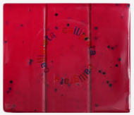 Полимерная глина Calligrata 50гр Розовый Опал Арт-10624214