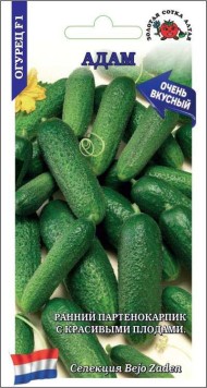 Огурец Адам F1 ЦВ/П (СОТКА) 5шт раннеспелый партенокарпический