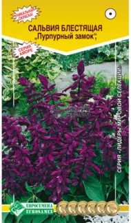 Цветы Сальвия Пурпурный замок ЦВ/П (ЕС) 10шт однолетник 30-35см