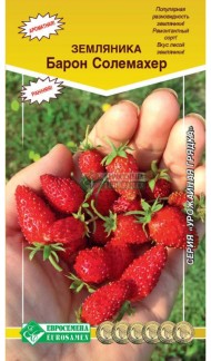Земляника Барон Солемахер ЦВ/П (ЕС) 0,1гр раннеспелый ремонтантный Земляника Барон Солемахер ЦВ/П (ЕС) 0,1гр раннеспелый ремонтантный