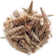 Набор Ракушек 110гр Арт-AF036