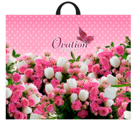 Сумочка пакет п/э петлевидная ручка 500*600мм Овация Арт-7115