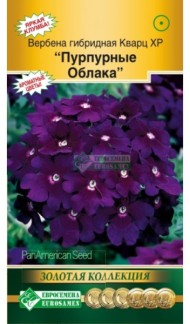 Цветы Вербена Кварц Пурпурные облака ЦВ/П (ЕС) 5шт однолетник 20-25см