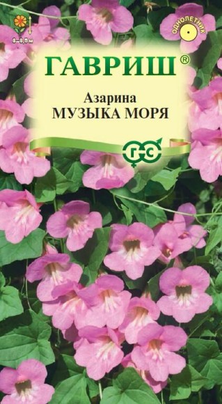 Цветы Азарина Музыка моря ЦВ/П (ГАВРИШ) 4шт однолетник до 3,5м