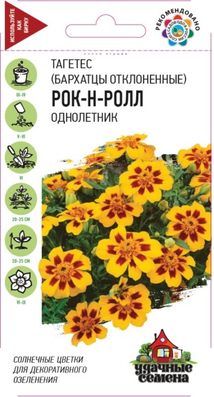 Цветы Бархатцы Рок-н-Ролл ЦВ/П (ГАВРИШ) серия УДС 0,3гр однолетник отклоненные 20-25см