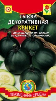 Тыква декоративная Крикет ЦВ/П (ПЛАЗМА) 5шт