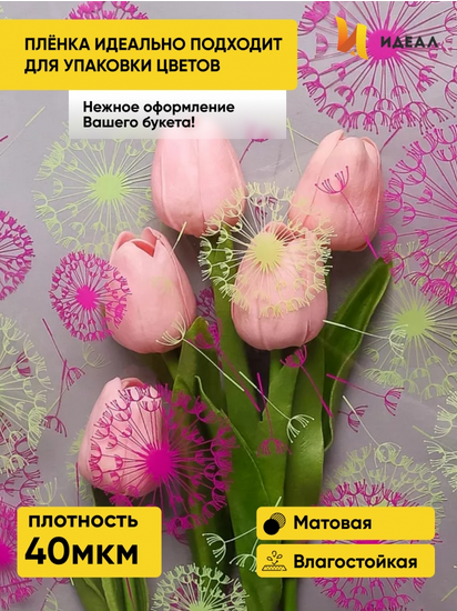 Пленка прозрачная с рисунком Одуванчики Фуксия-Фисташка 70см/8м