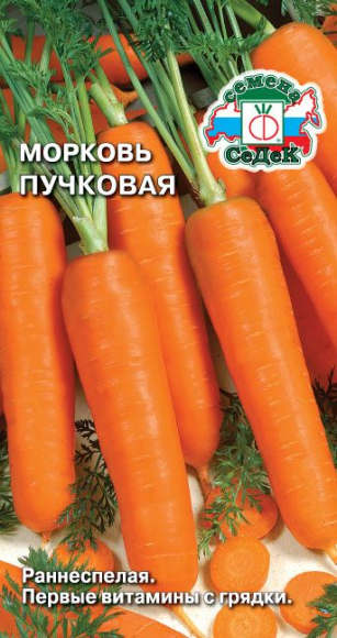 Морковь Пучковая ЦВ/П (СЕДЕК) 2гр раннеспелая Морковь Пучковая ЦВ/П (СЕДЕК) 2гр раннеспелая