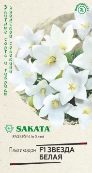 Цветы Платикодон Звезда Белая F1 ЦВ/П (ГАВРИШ) 3шт многолетник 25см
