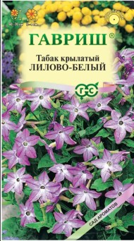 Цветы Табак Душистый Лилово-Белый крылатый ЦВ/П (ГАВРИШ) 0,05гр однолетник 60-70см