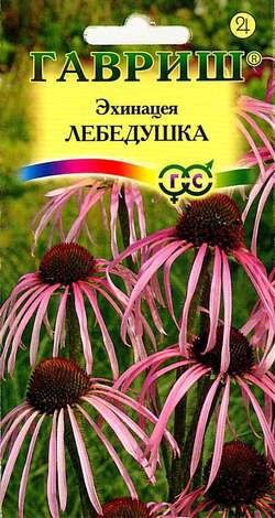 Цветы Эхинацея Лебёдушка ЦВ/П (ГАВРИШ) 0,1гр многолетник сухоцвет до 1м