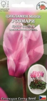 Цветы Цикламен Мини Розмари ЦВ/П (СОТКА) 3шт комнатное 15-30см