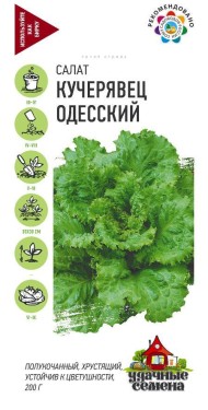 Салат Кучерявец одесский ЦВ/П (ГАВРИШ) серия УДС 0,5гр позднеспелый полукочанный Салат Кучерявец одесский ЦВ/П (ГАВРИШ) серия УДС 0,5гр позднеспелый полукочанный