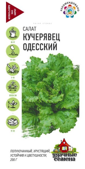 Салат Кучерявец одесский ЦВ/П (ГАВРИШ) серия УДС 0,5гр позднеспелый полукочанный