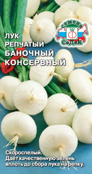 Лук репчатый Баночный консервный ЦВ/П (СЕДЕК) 0,5гр скороспелый
