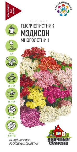 Цветы Тысячелистник Мэдисон смесь ЦВ/П (ГАВРИШ) 0,05гр многолетник сухоцвет 50-70см