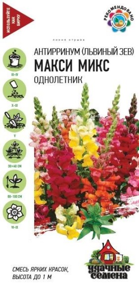 Цветы Львиный Зев Макси Микс ЦВ/П (ГАВРИШ) серия УДС 0,05гр однолетник до 1м