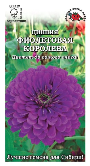 Цветы Цинния Фиолетовая королева ЦВ/П (СОТКА) 0,3гр однолетник 70-90см