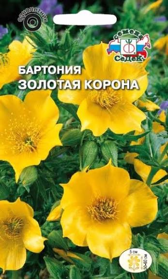 Цветы Бартония Золотая Корона ЦВ/П (СЕДЕК) 0,2гр однолетник 50-60см Цветы Бартония Золотая Корона ЦВ/П (СЕДЕК) 0,2гр однолетник 50-60см
