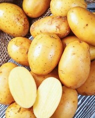 Картофель Королева Анна в сетке 2кг (Цена за сетку) Картофель Королева Анна в сетке 2кг (Цена за сетку)