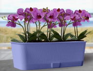 Балконный ящик Прованс 9,5лит Лаванда 580*170*130мм с прикорневым поливом